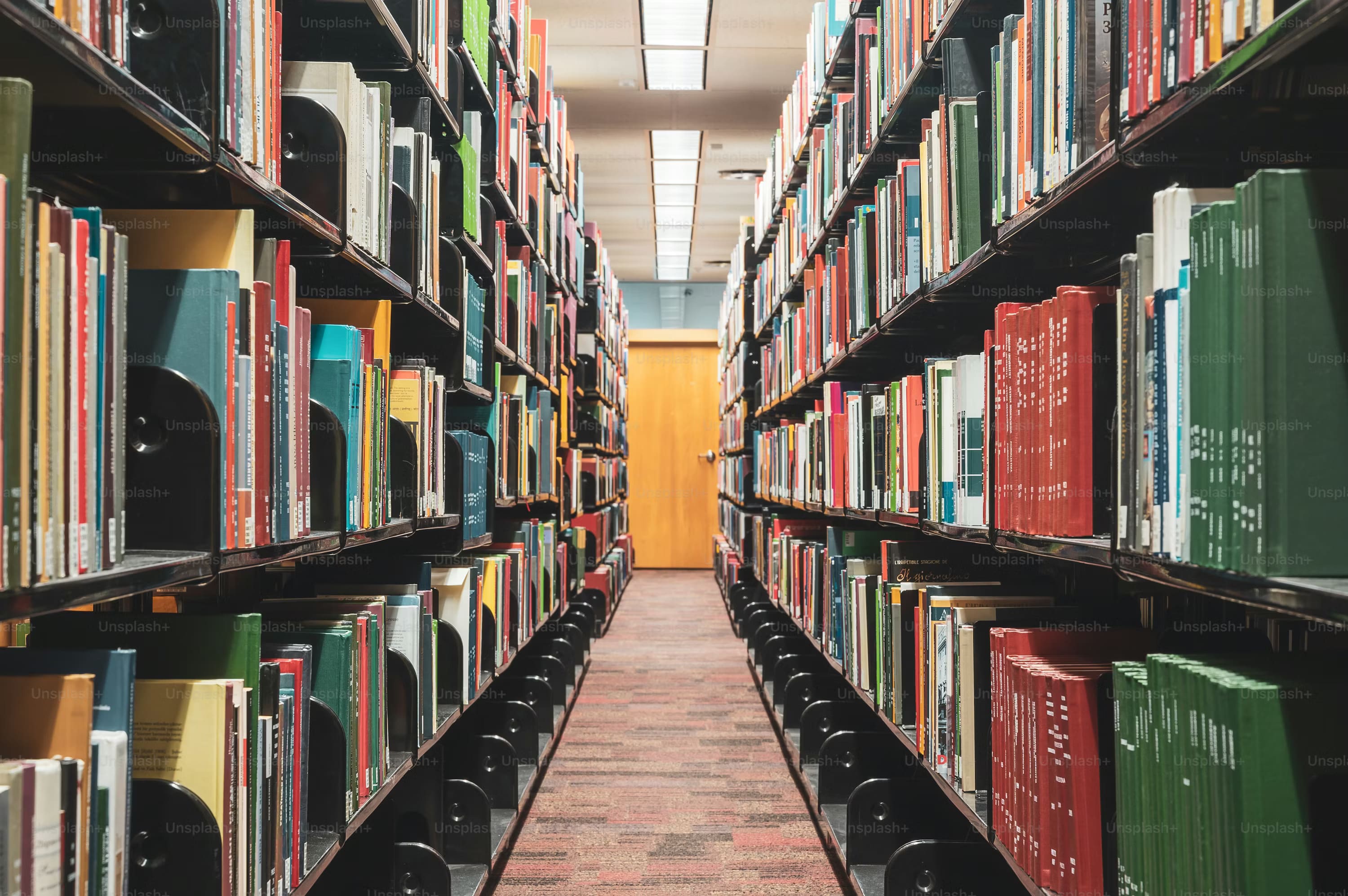 Department of Higher Education